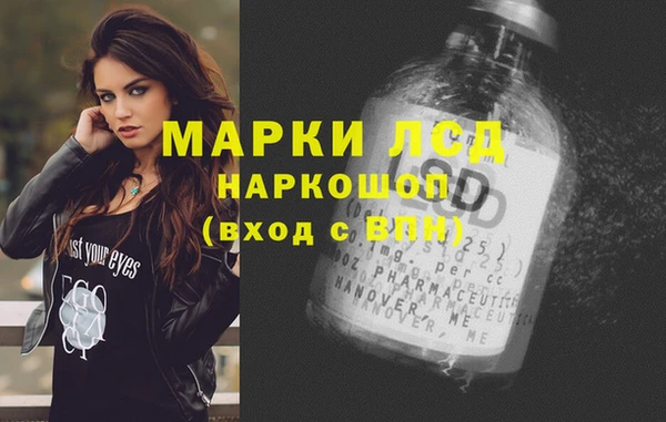 эйфоретик Няндома