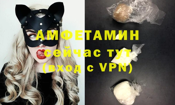 эйфоретик Няндома