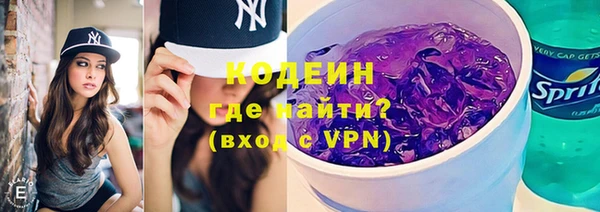 эйфоретик Няндома