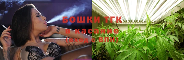 эйфоретик Няндома