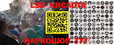 молекула духа Кингисепп