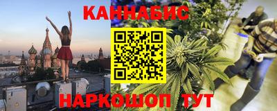 молекула духа Кингисепп