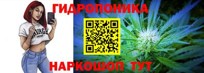 молекула духа Кингисепп