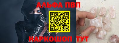 молекула духа Кингисепп