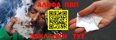 молекула духа Кингисепп
