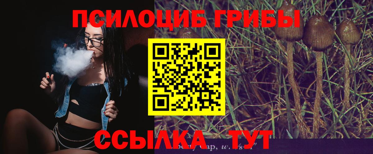 наркота  Псилоцибиновые грибы Psilocybe  Вход с VPN  Уварово 
