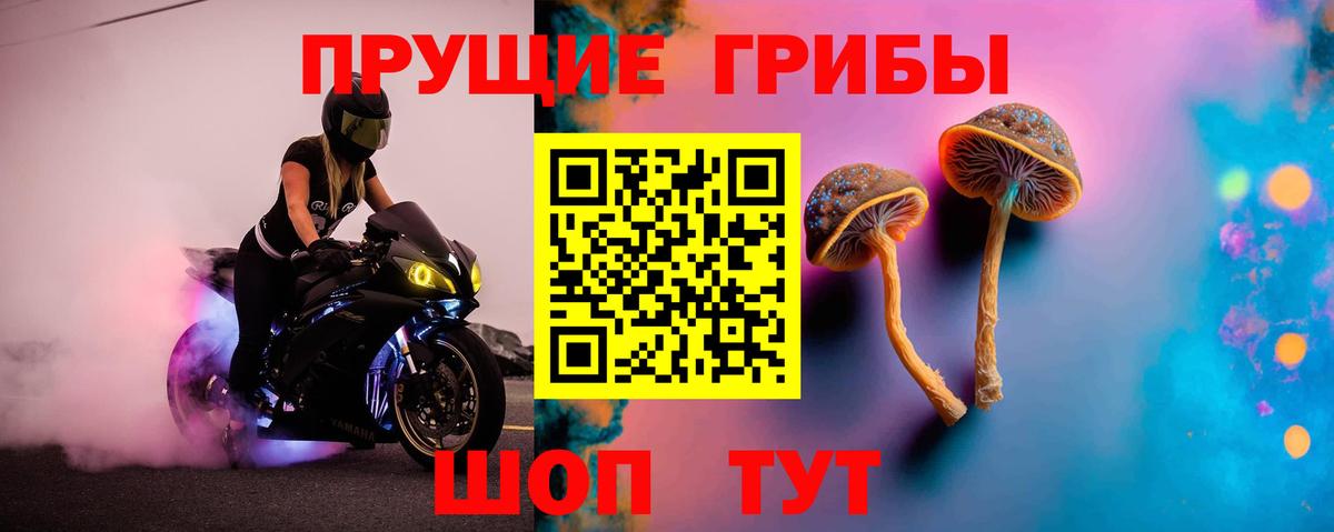 Галлюциногенные грибы Psilocybe Уварово